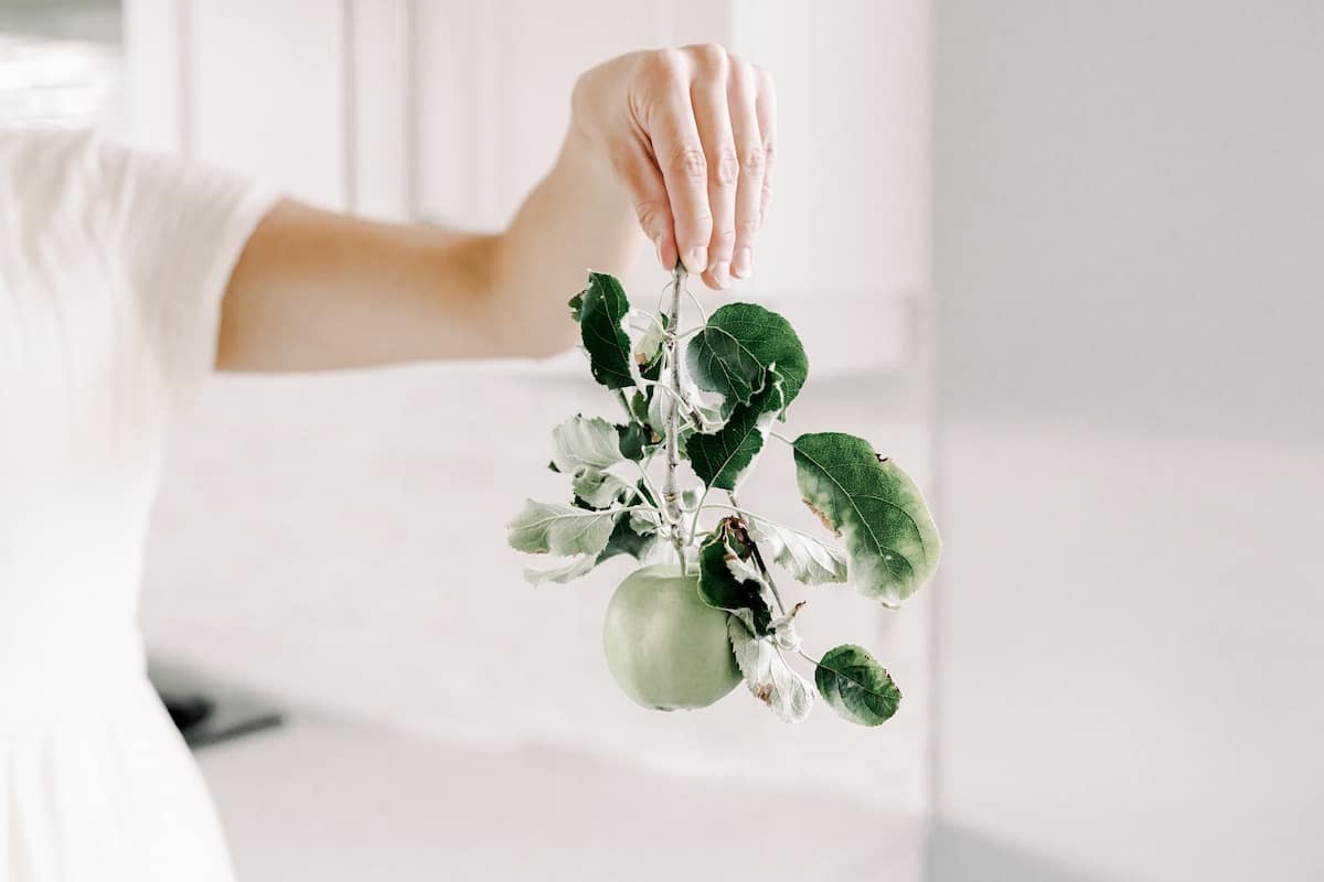 Woman holding a branch with a green apple in her hand, symbolizing the importance of accurate pricing in achieving a successful home sale.