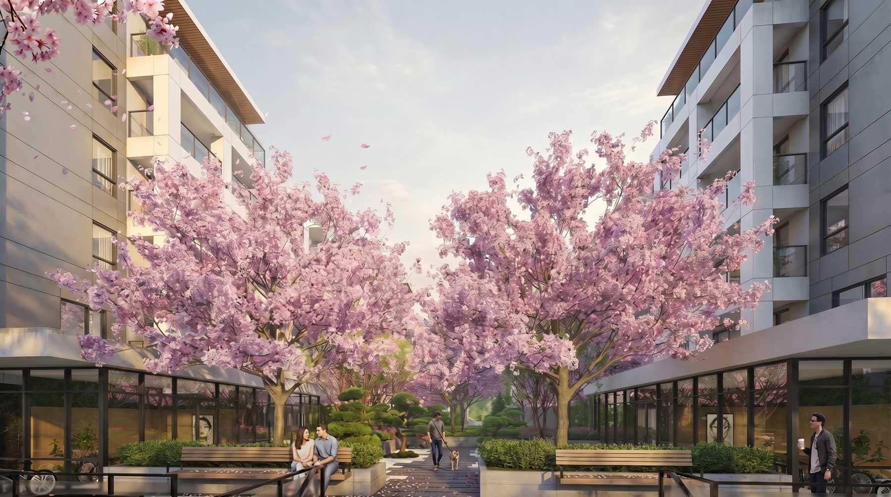 Pedestrian courtyard walkway at Kamilia Langley by Kingdom Property Investment Ltd., located at 20675 Eastleigh Crescent in Downtown Langley, featuring blooming cherry blossom trees, landscaped seating areas, and modern mid-rise condo buildings.