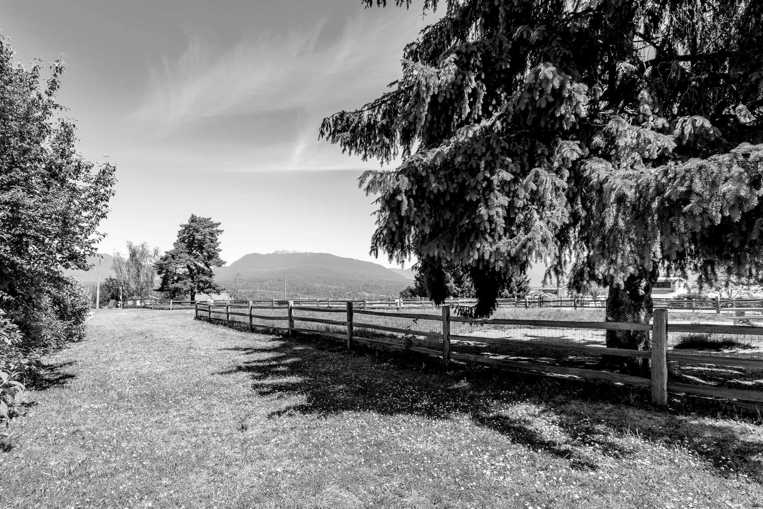 Vancouver landscape with mountain backdrop featured as the hero image for YVR Real Estate Group homepage