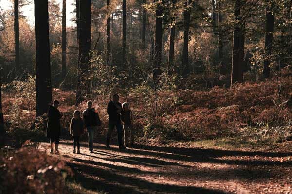Residents walking along a sunlit forest trail surrounded by mature trees near Rocklin Burke Mountain, reflecting the outdoor lifestyle and nature-connected setting of StreetSide’s Coquitlam townhome community.