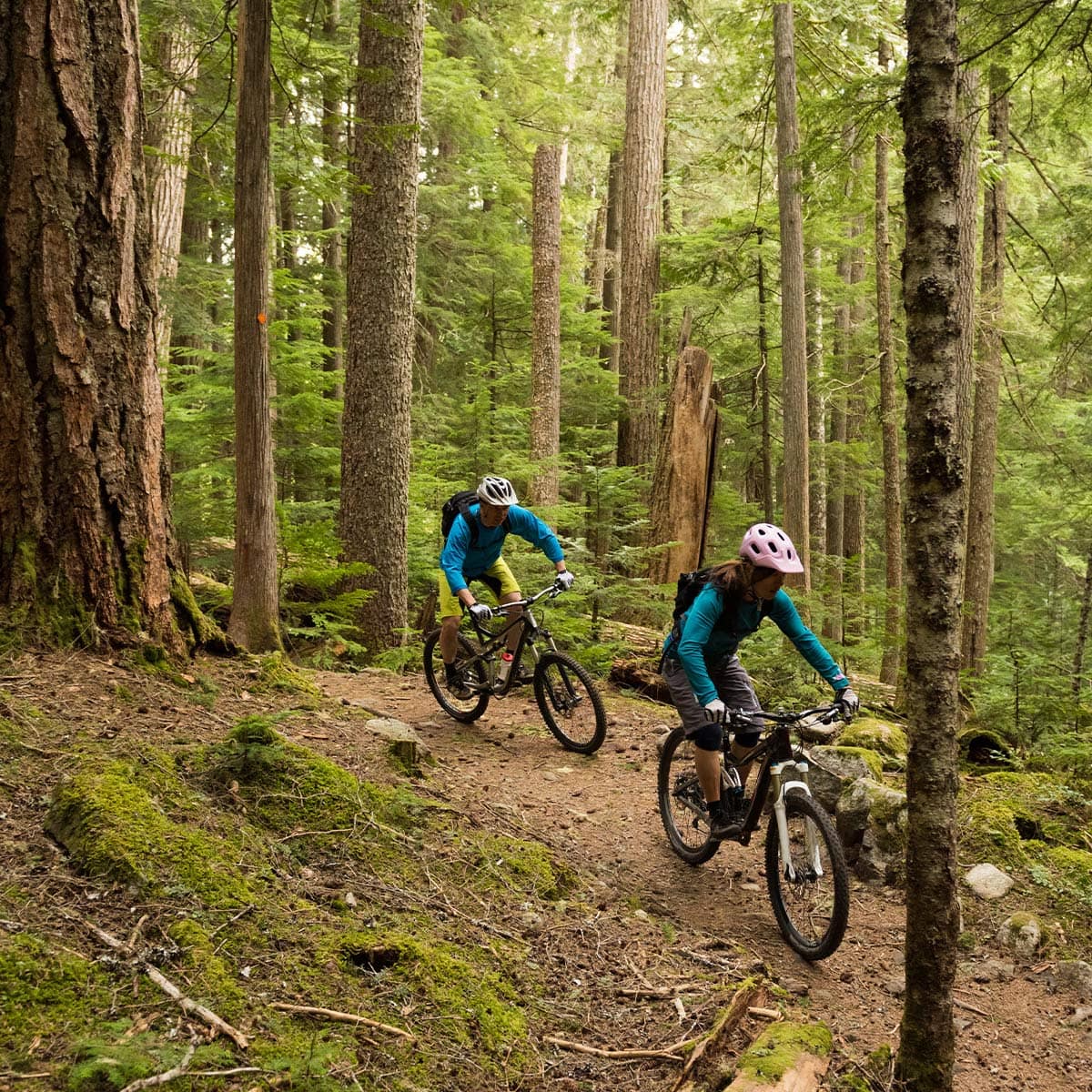 Mountain biking trails near Timber's Edge Burke Mountain in Coquitlam with riders navigating forest paths surrounded by dense trees and natural terrain