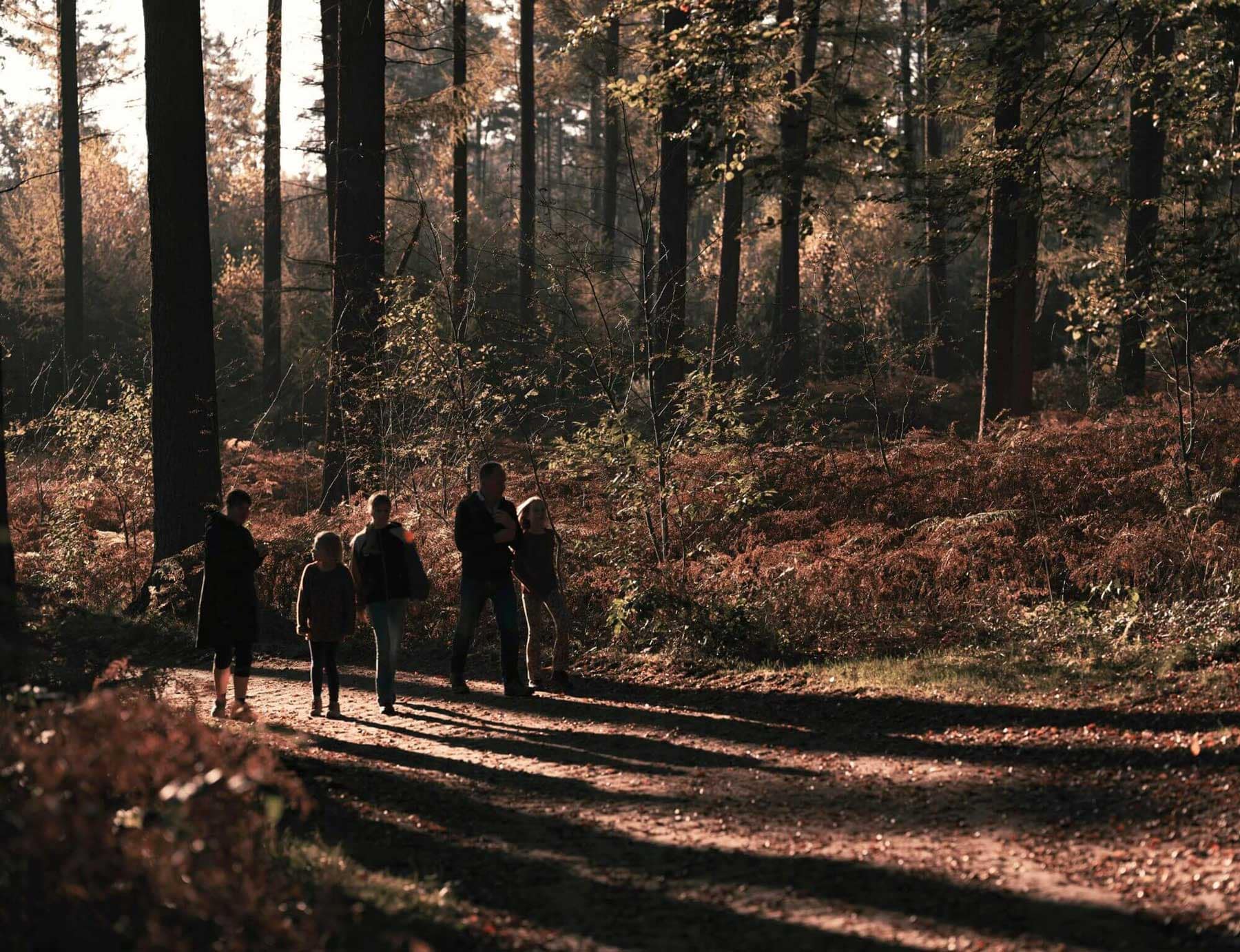 Family walking along a forest trail surrounded by tall trees near Rocklin Burke Mountain, highlighting the outdoor lifestyle and natural surroundings offered by StreetSide’s townhome community in Coquitlam.