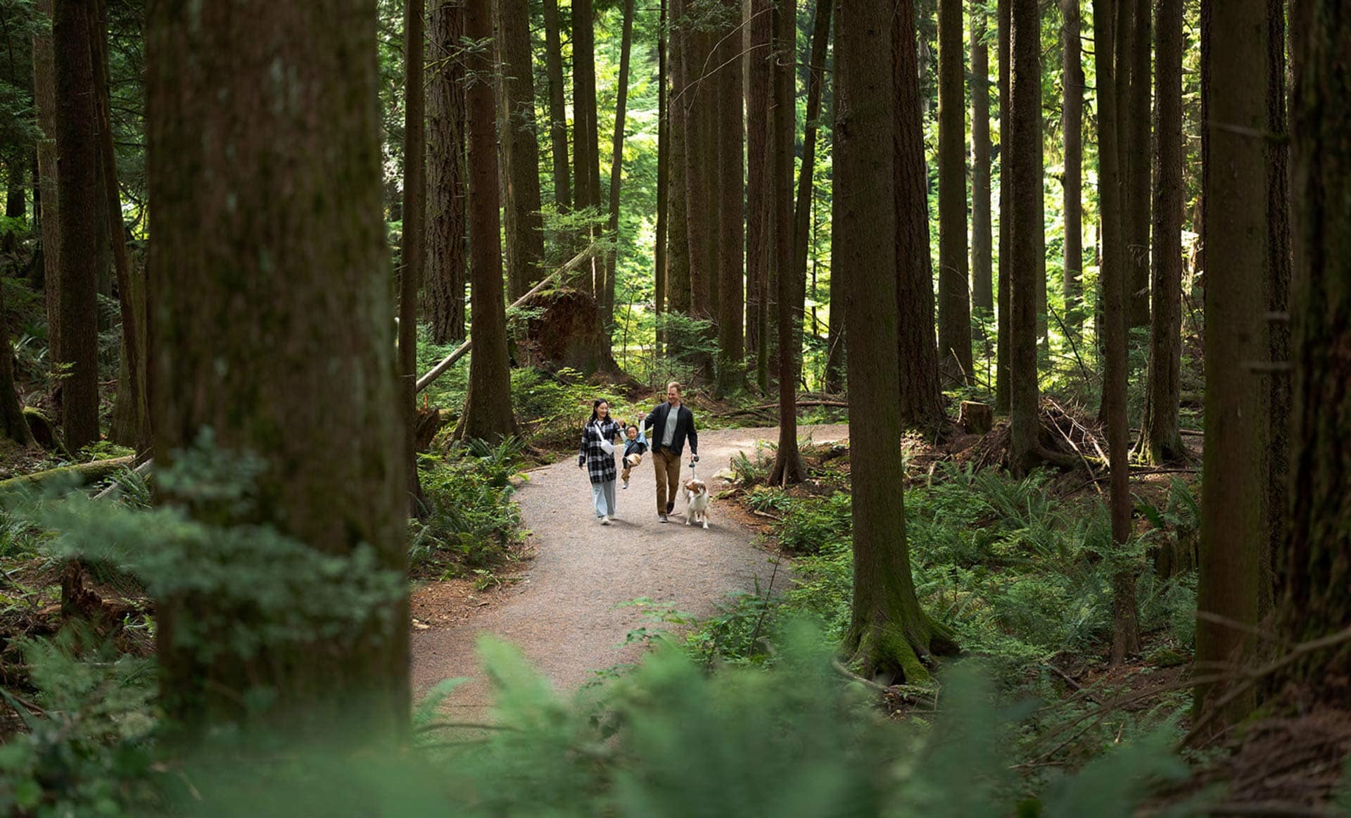 Family walking along a forest trail near Ridgewood Burke Mountain in Coquitlam, highlighting access to nature and outdoor lifestyle near 3637 Sheffield Avenue