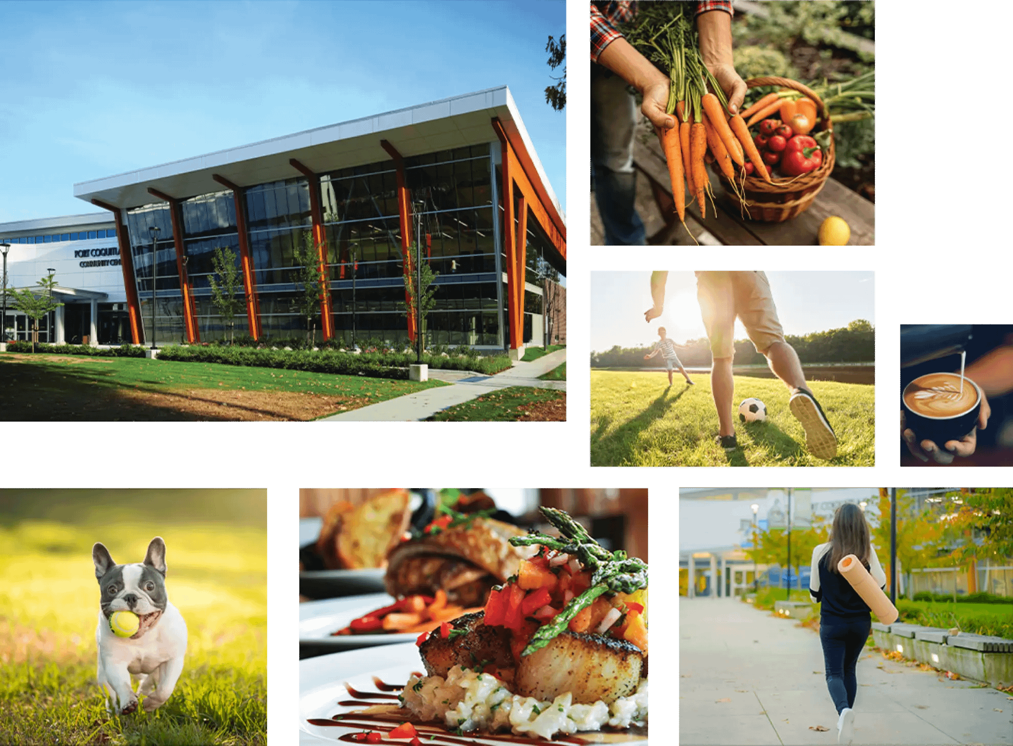 Lifestyle collage representing Central Port Coquitlam near The PoCo at 2431 Mary Hill Road, including community centre, local food, outdoor recreation, pet-friendly parks, and walkable neighbourhood amenities